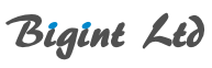 bigint Logo